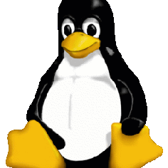 Linux terminləri və Linux tarixinə qısa giriş